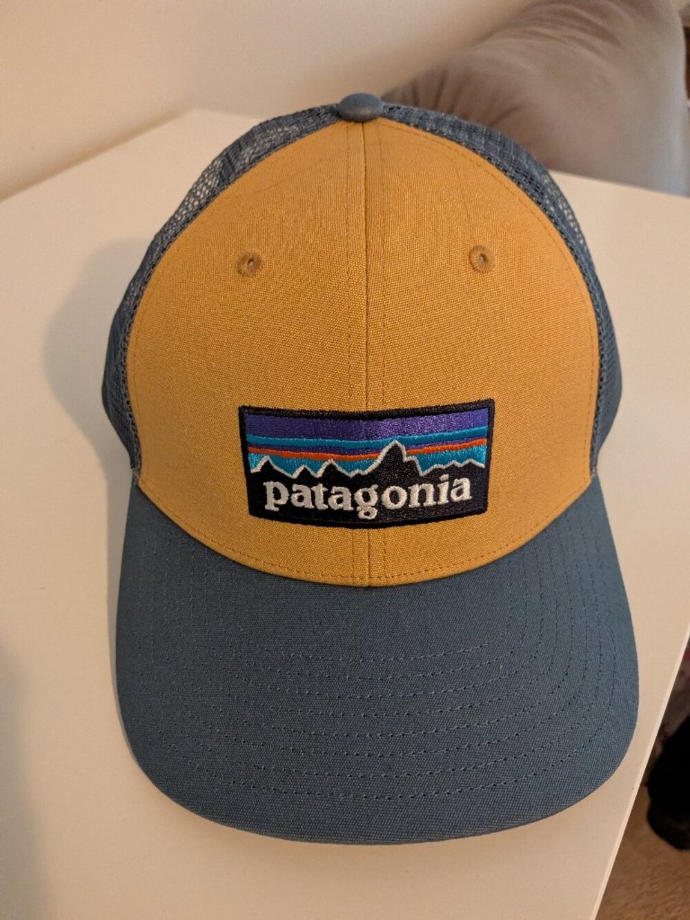 Patagonia Trucker Hat